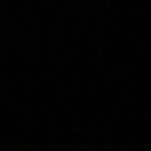 Meet your Posher, Leo